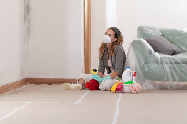 Reliable Mold Inspection contractor in Jobstown, NJ by WQB Mold Removal